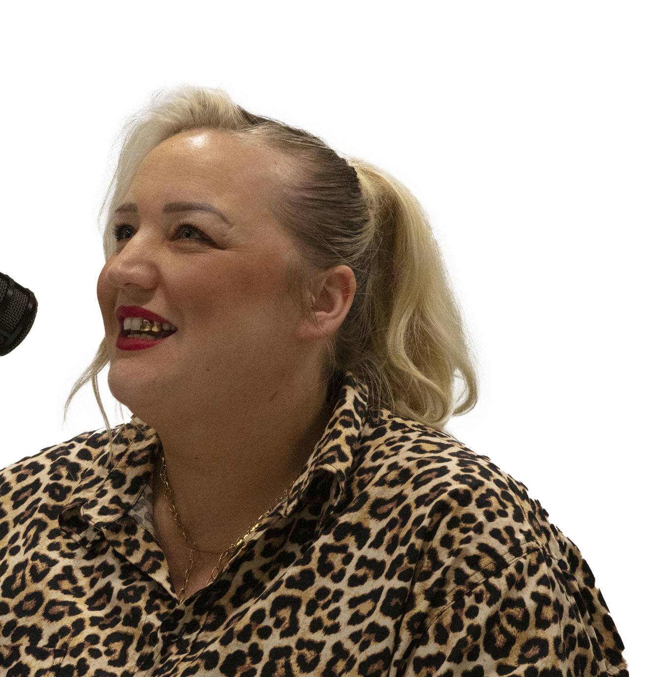 1713186091085-Lisa Audio.png