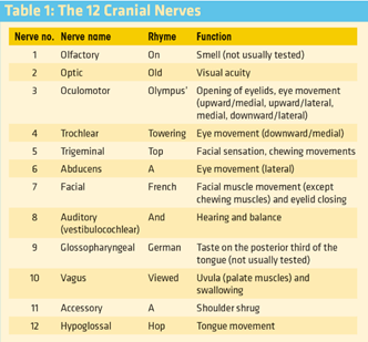 https://cdn5.dcbstatic.com/files/m/e/medpro_docebosaas_com/userfiles/20702/cranial_nerve.png