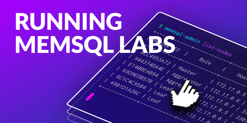 Running Developer Labs in Docker
