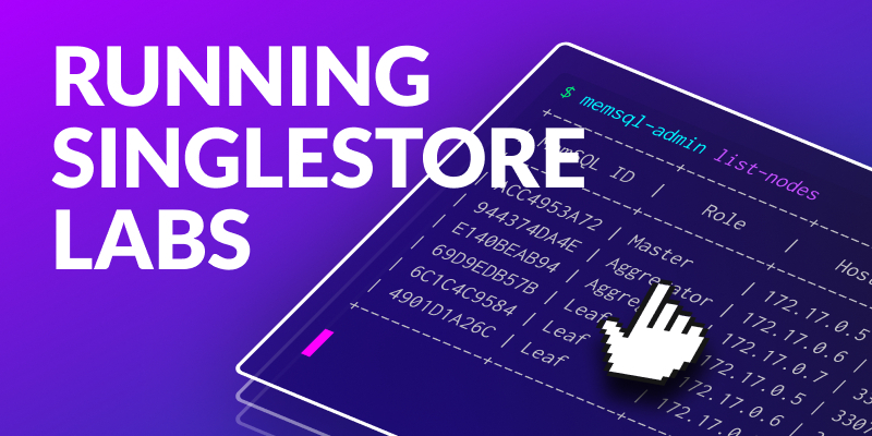 Running Developer Labs in Docker