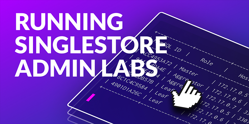 Running Administrator Labs in Docker