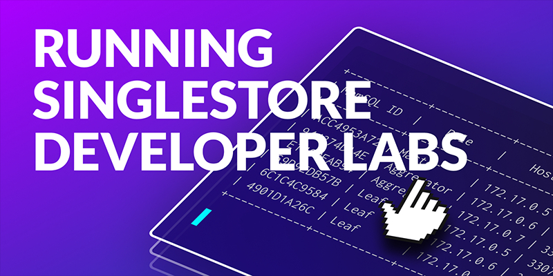 Running Developer Labs in Docker
