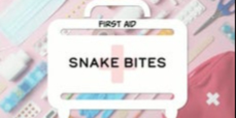 First Aid: Snake Bites