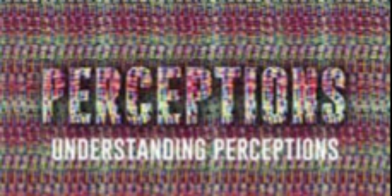 Perceptions: 01. Understanding Perceptions