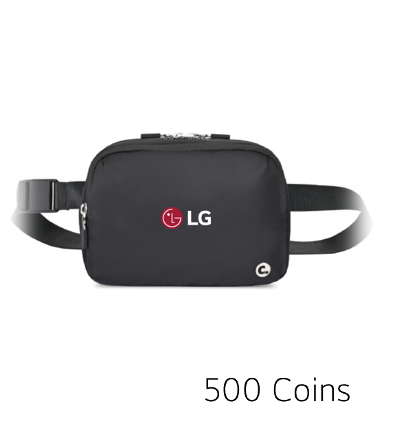 Crossbody Belt Bag